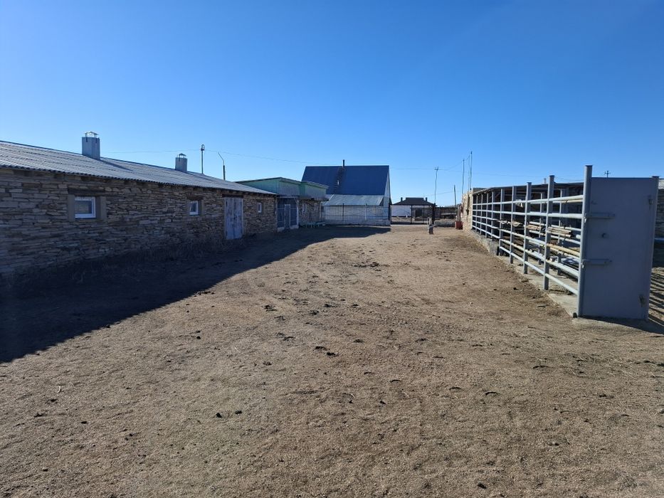 Продаётся готовое крестьянское хозяйство!