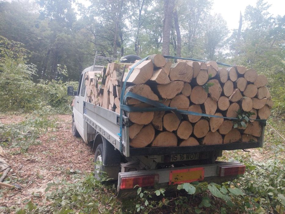 Lemne de foc fag carpăn frasan stejar