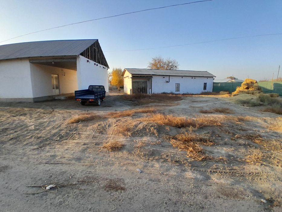 Hovli sotiladi buxoro peshku tumanda