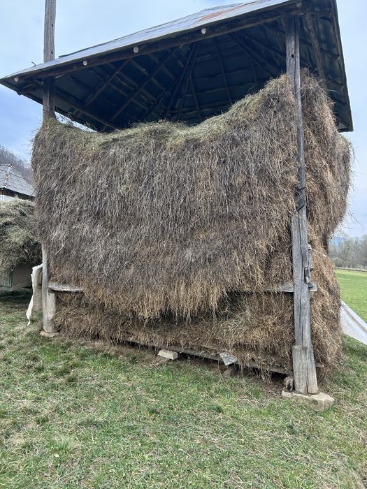 Vând o jumate de șopru de Otavă