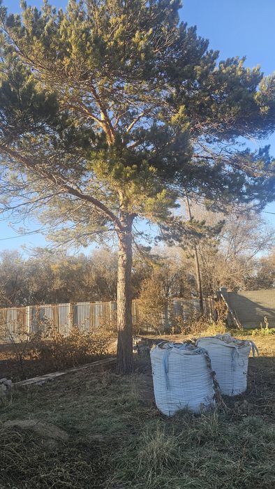 Продам дачу Сосновый бор