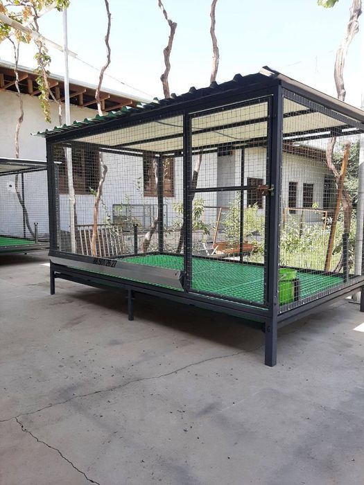 5 yulduzli TOVUQ Kataklar