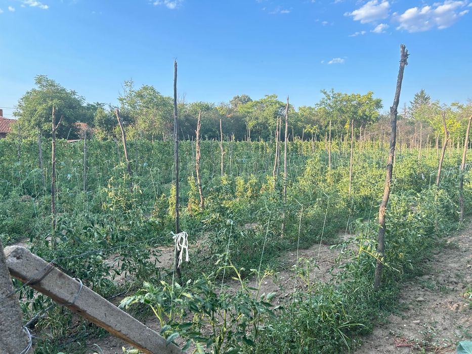 Продава се Къща в с. Гранит, Област Стара Загора - 120 кв.м за 500 €/кв.м - Снимка #5