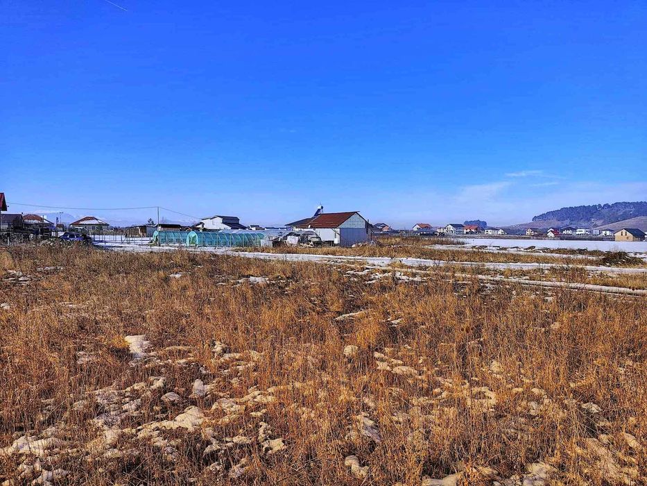 URGENT Sânpetru: Teren 499 mp, front generos 25 m - zonă între case