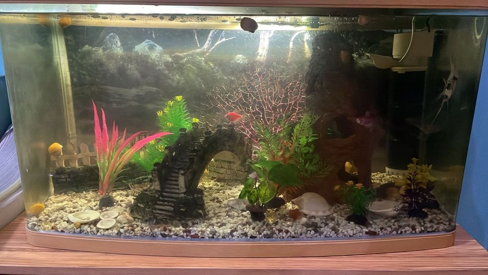 Продам аквариум с рыбками