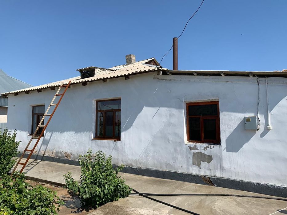 Кой кошкарга ауыстырамын