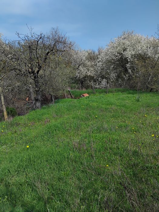 Къща в  с. Присад,  общ. Сунгурларе