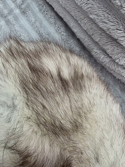 Caciula blana naturală