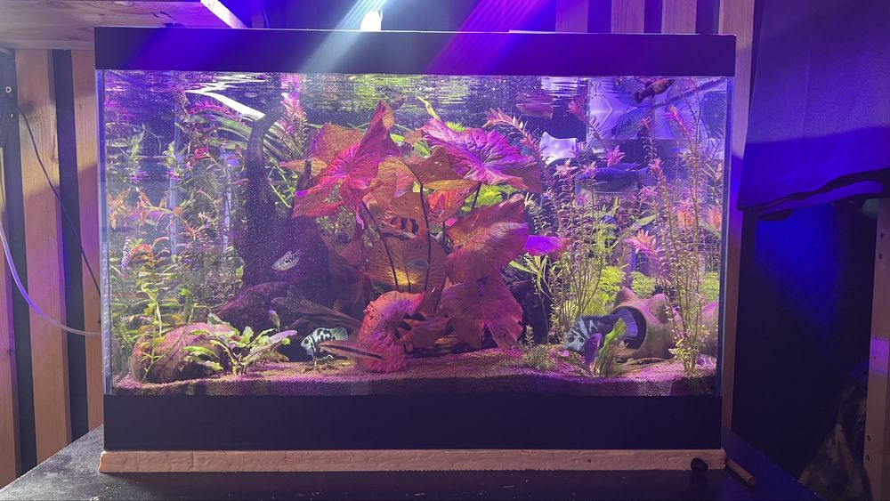 Продам аквариум