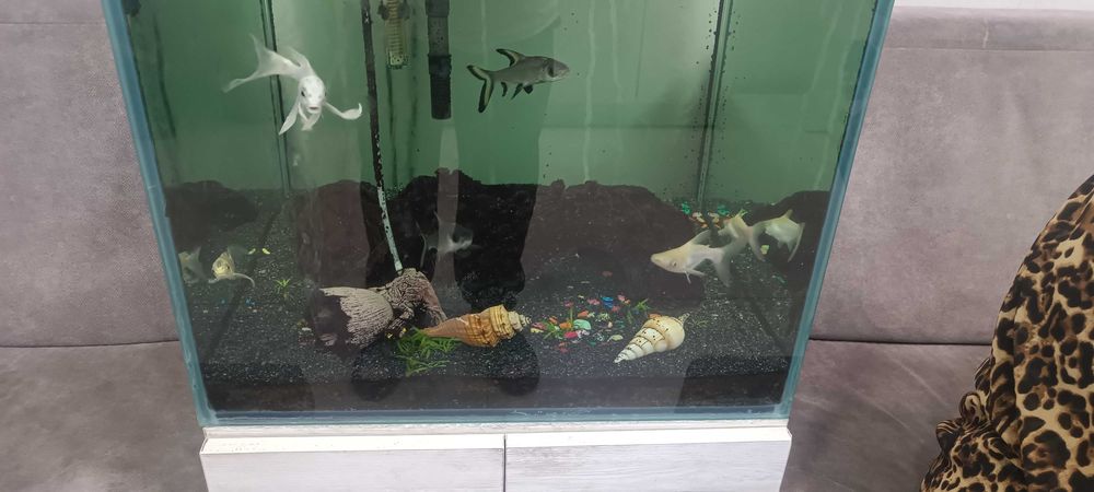 Срочно продам аквариум 125 литр