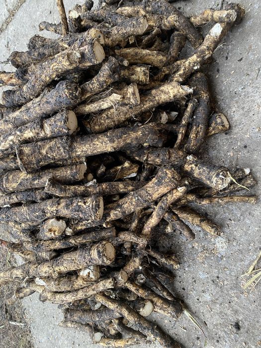 Miez de nucă, hrean, cimbru,mentă