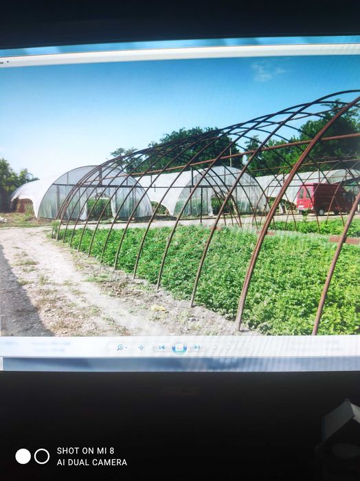 Продава се Къща в с. Поликраище, Област Велико Търново - 5718 кв.м за 9 €/кв.м - Снимка #7