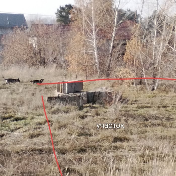 Участок садоводство Клён