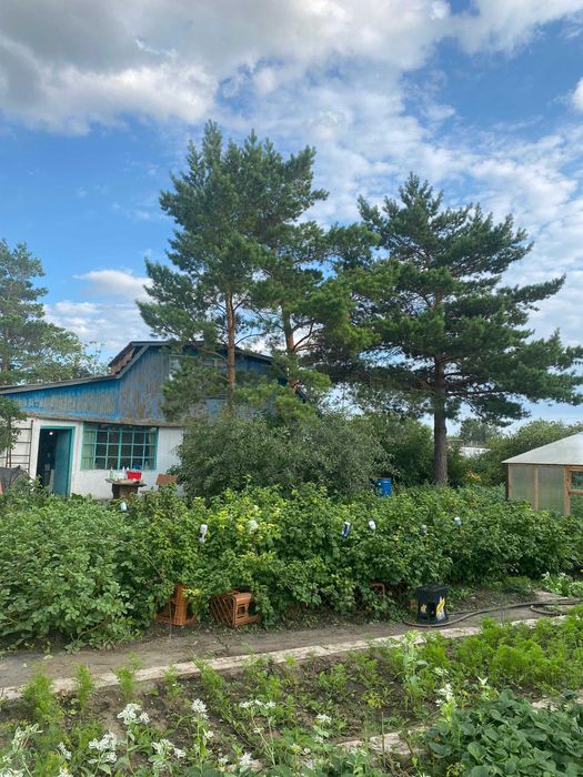 Просторная дача, район Федоровки