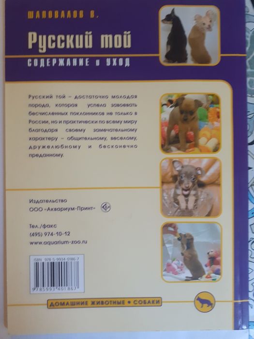 Русский той терьер