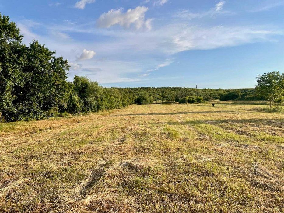 Teren intravilan 7.000 mp (5.500 mp + 1.500 mp bonus) – zonă deosebită, Mischii