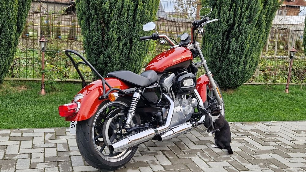 Harley Davidson Superlow XL Sportster 883 L