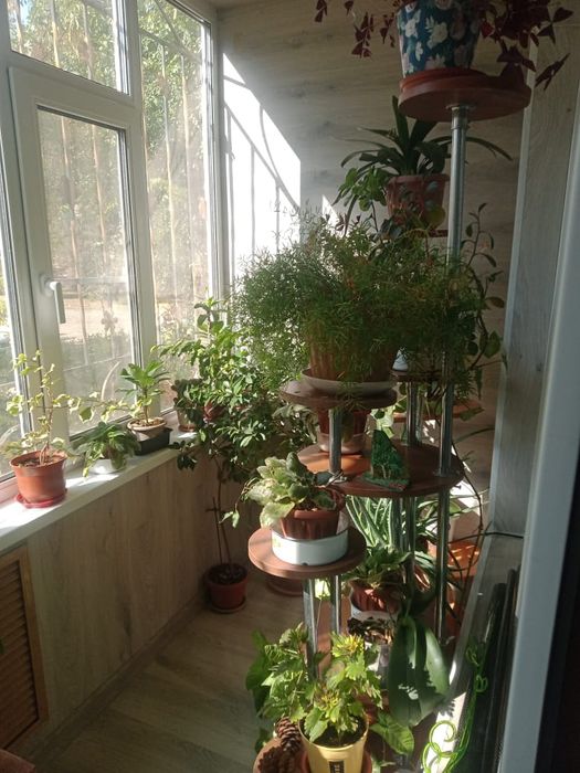 Продам 3-х комнатную квартиру