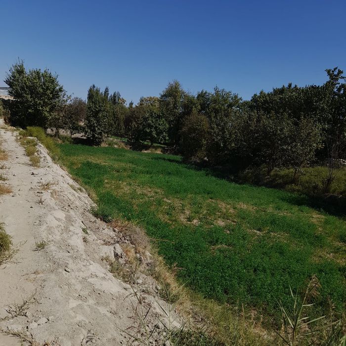 Ер участкаси сотилади запчаст бозор оркаси