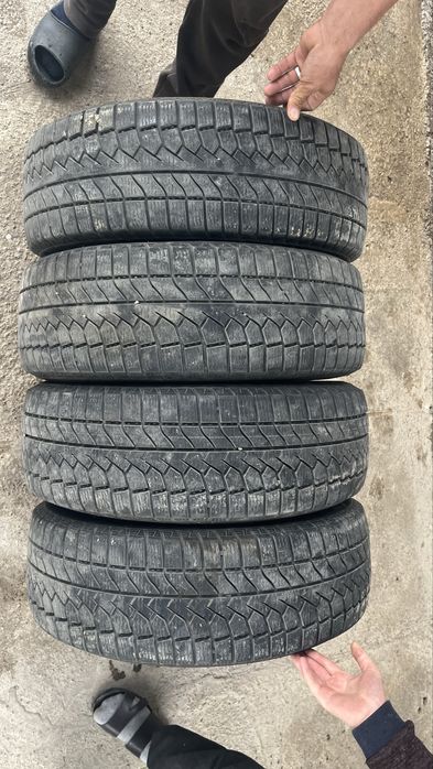 Қысқы донғалақтар. Зимный балон