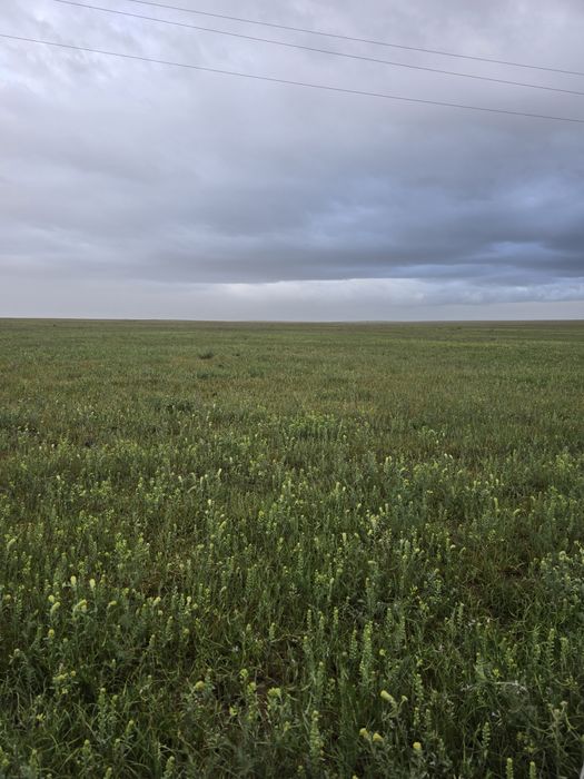 Продам фазенду 800 гектар