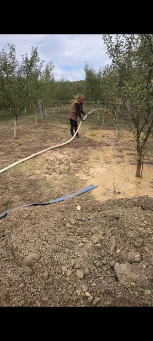 Executam fantani foraje piloni