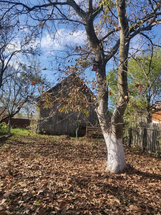 Casa de vanzare in Baisoara cu teren intravilan de 1750 mp