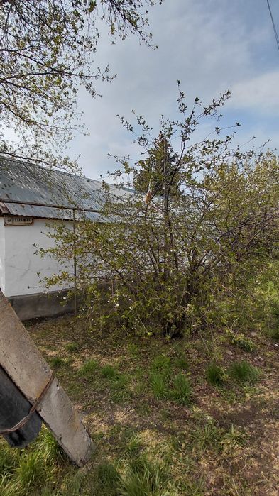 Продам дом.срочно.