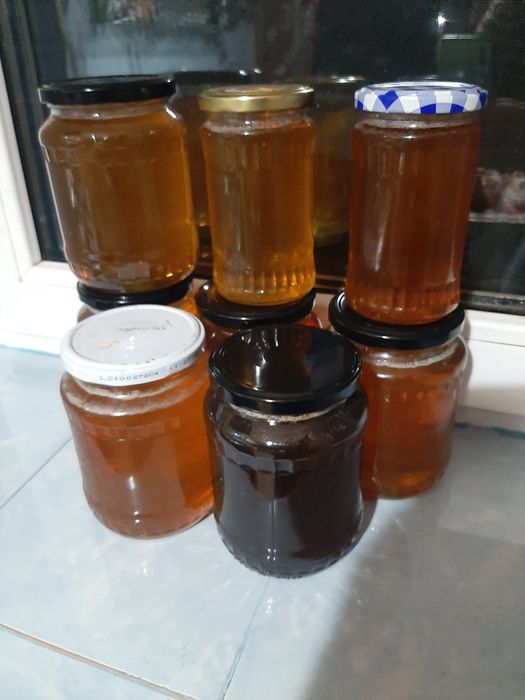 De vânzare stoloni de căpșuni și miere de albine