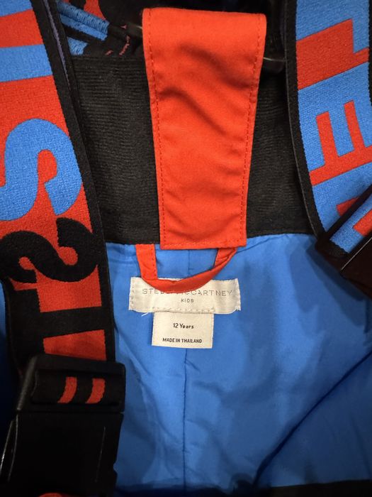 лыжные брюки stella mccartney