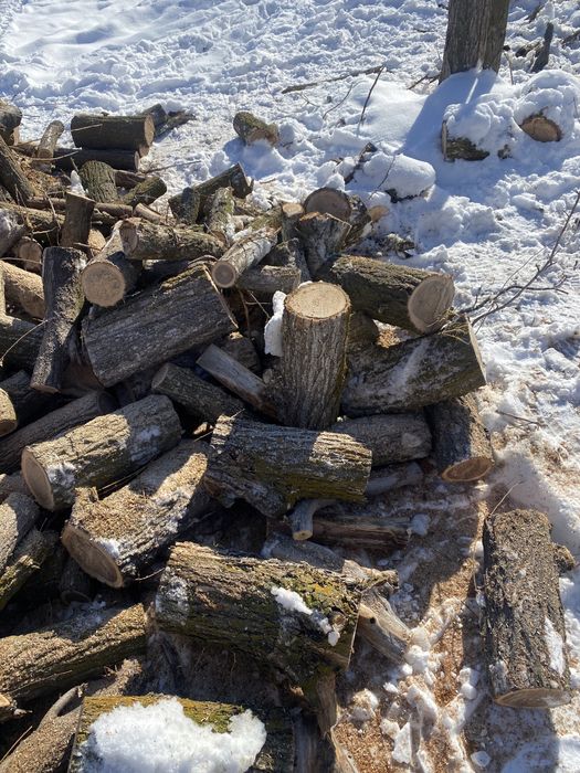 Дрова! карагач сухой. Чурки