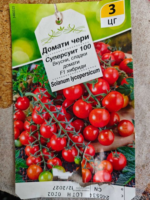 Продавам домашен разсад домати – София