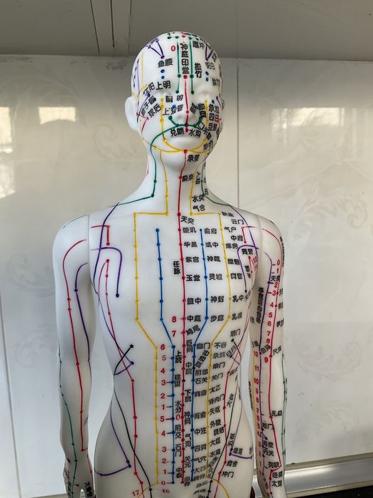 Муляж для акупунктуры, все точки 14 мерилианов. Муляж головы.