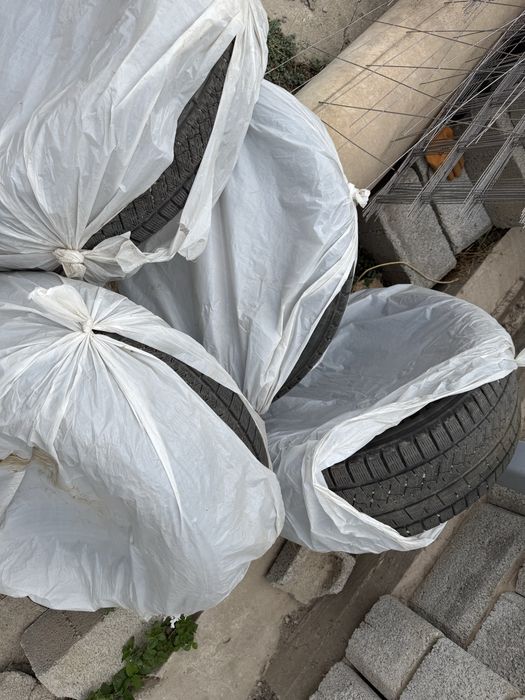 Зимние шины Triangle