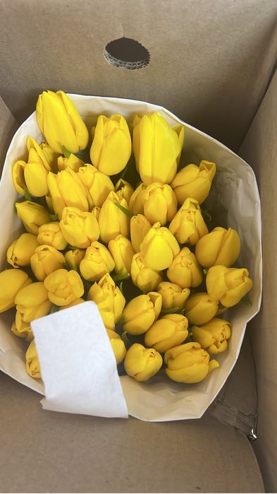 Тюльпаны по 300 тенге