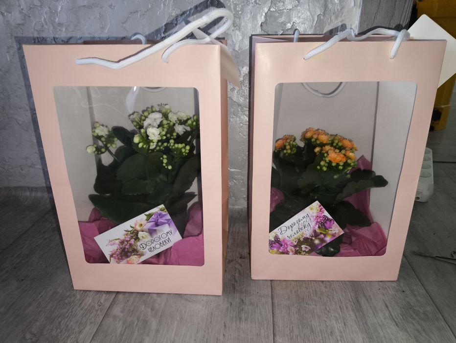 Цветы подарки цветущие