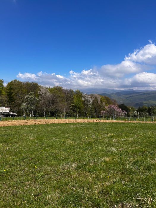 Vând casă cu teren intravilan