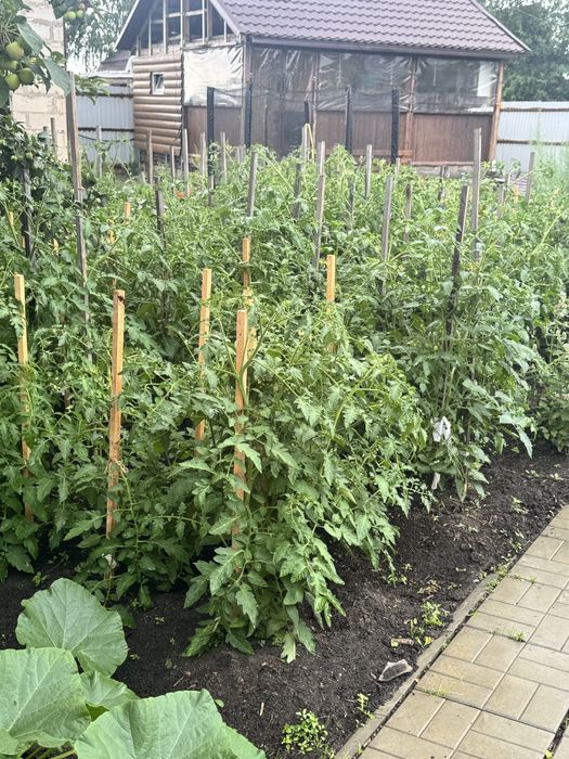 Продам дачу общество Звездочка