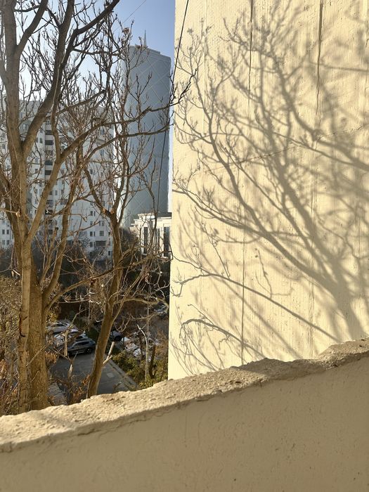 Аренда 3 комнатная