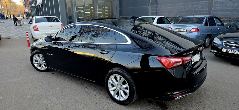 MALIBU 2 PREMIER 2022/23 kiraska top toza polni navarot
2022/23 
kiras