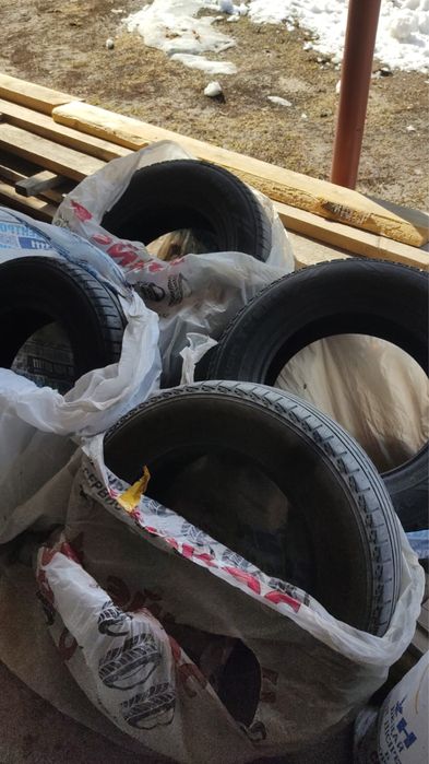 Продам шины      .