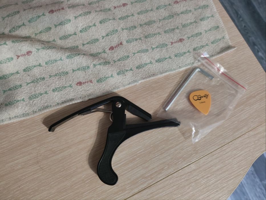 Акустическая гитара Agnetha