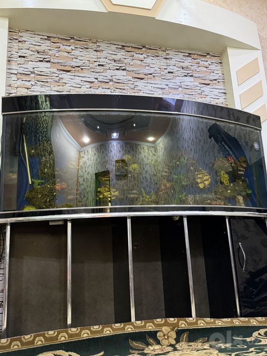 600 litrlik AKVARIUM