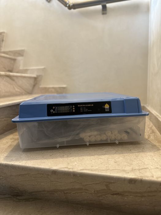 Smart Инкубатори за люпене на яйца (Най-ниските цени!)