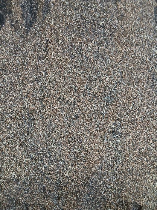 Продам пшеница и отходы пшеничная