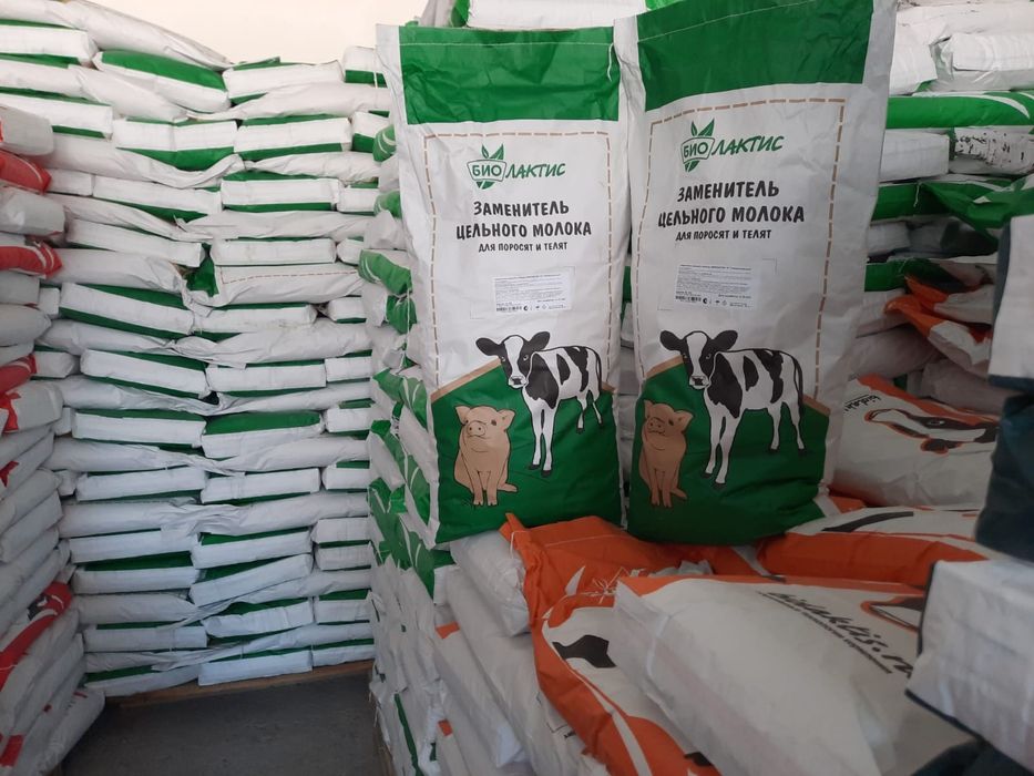 Сухое молоко для телят