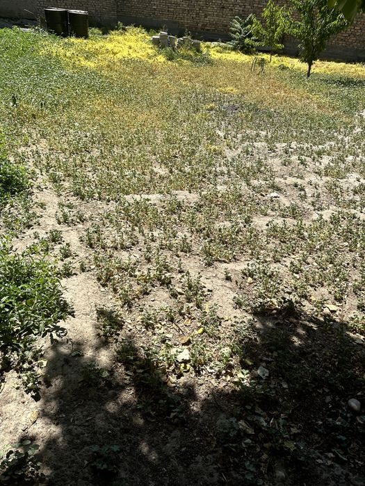 Срочно продаю дом собственник Азербайджанский центр