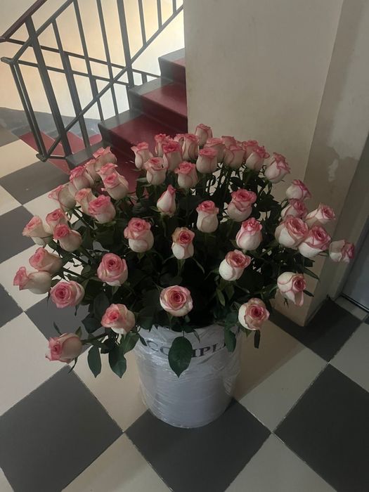 Букет роз 51 штук заберай