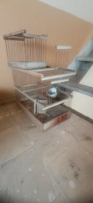 Клетка для домашних птиц