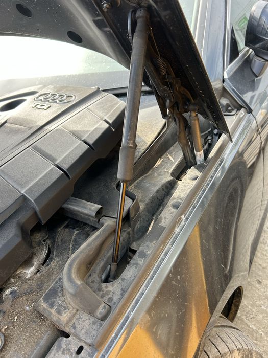 Balamale capotă cu capse pirotehnice Audi A4 B9